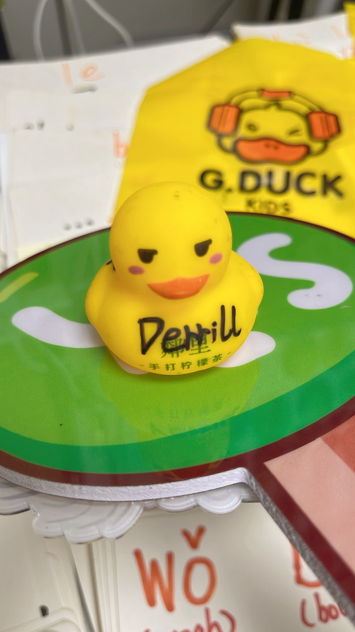No.1 Duck
