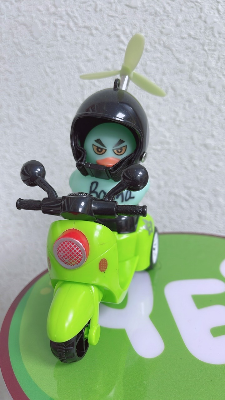 No.1 Duck