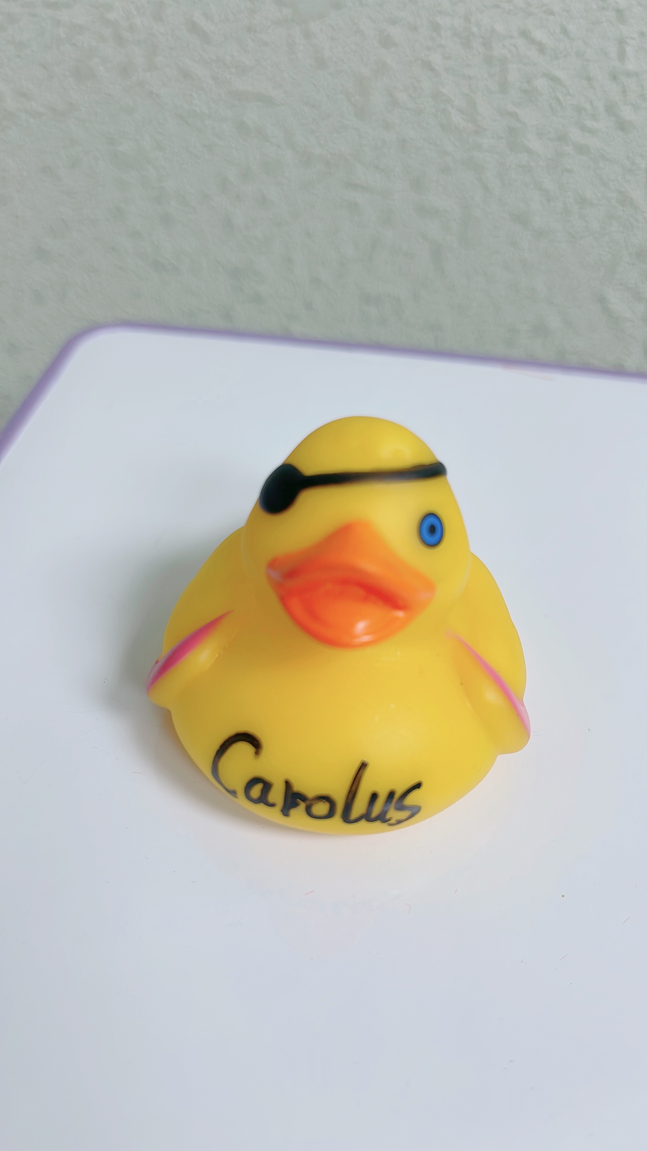 Christmas duck
