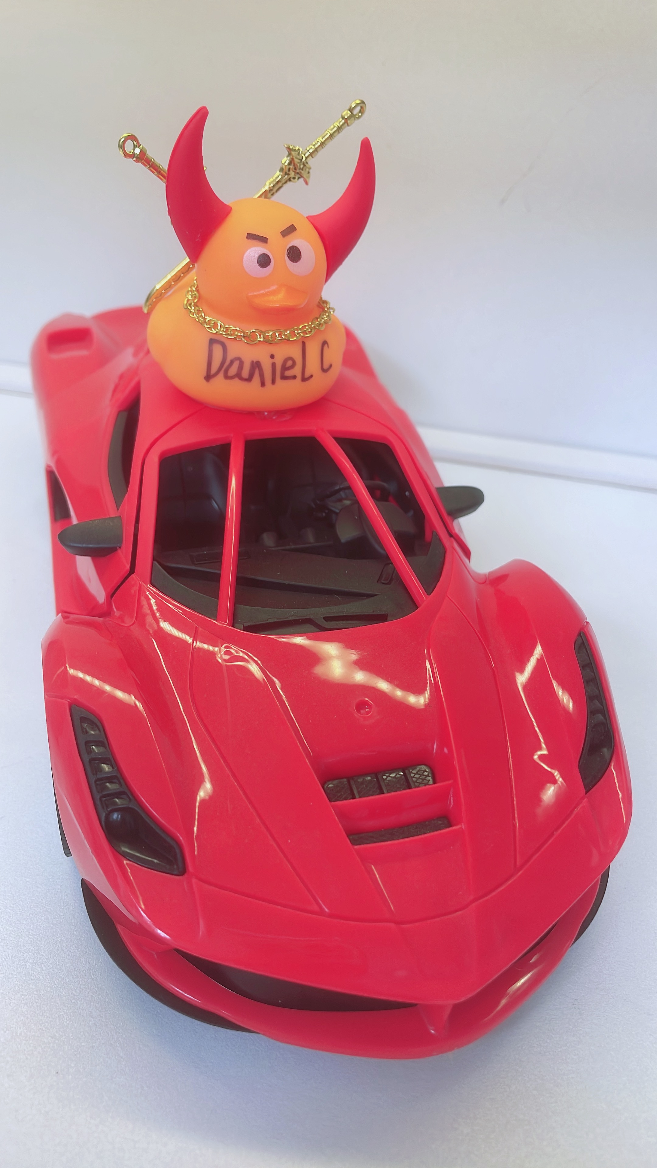 No.6 Duck