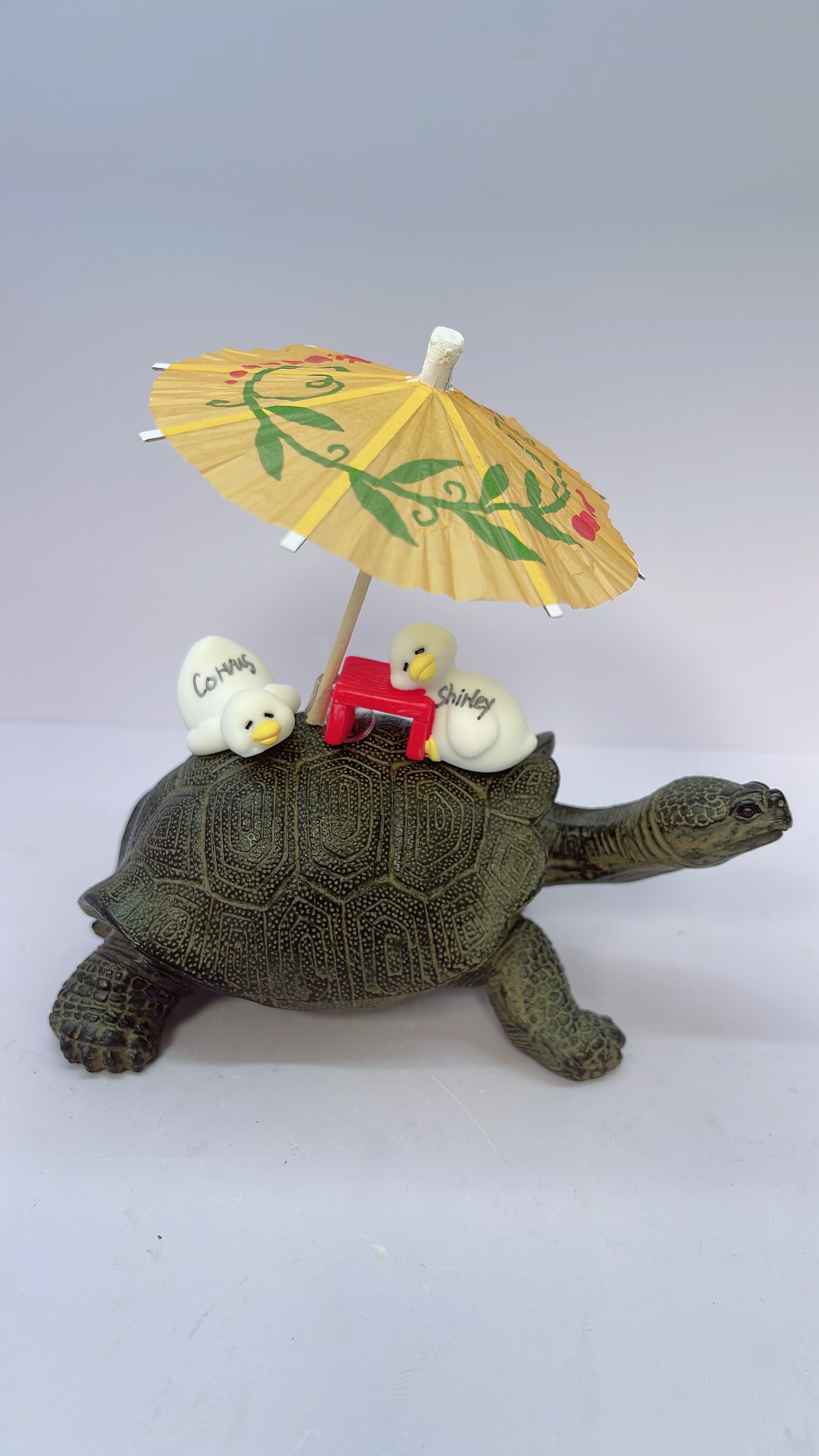 $100 VIP Mini Duck