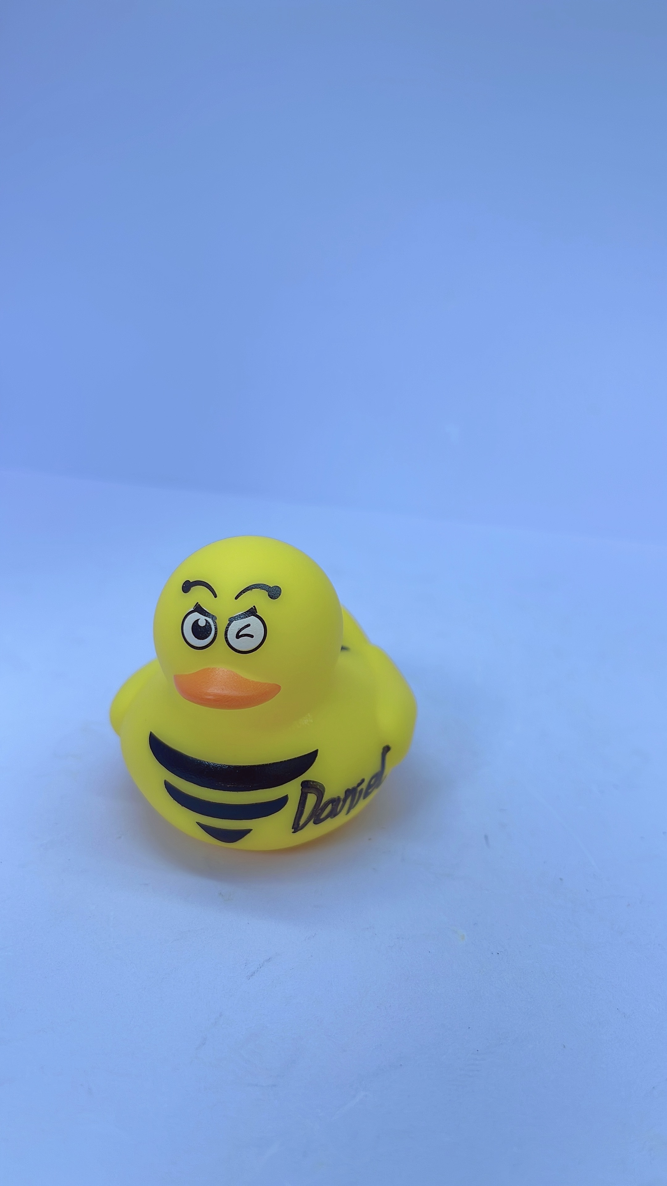 400K Duck