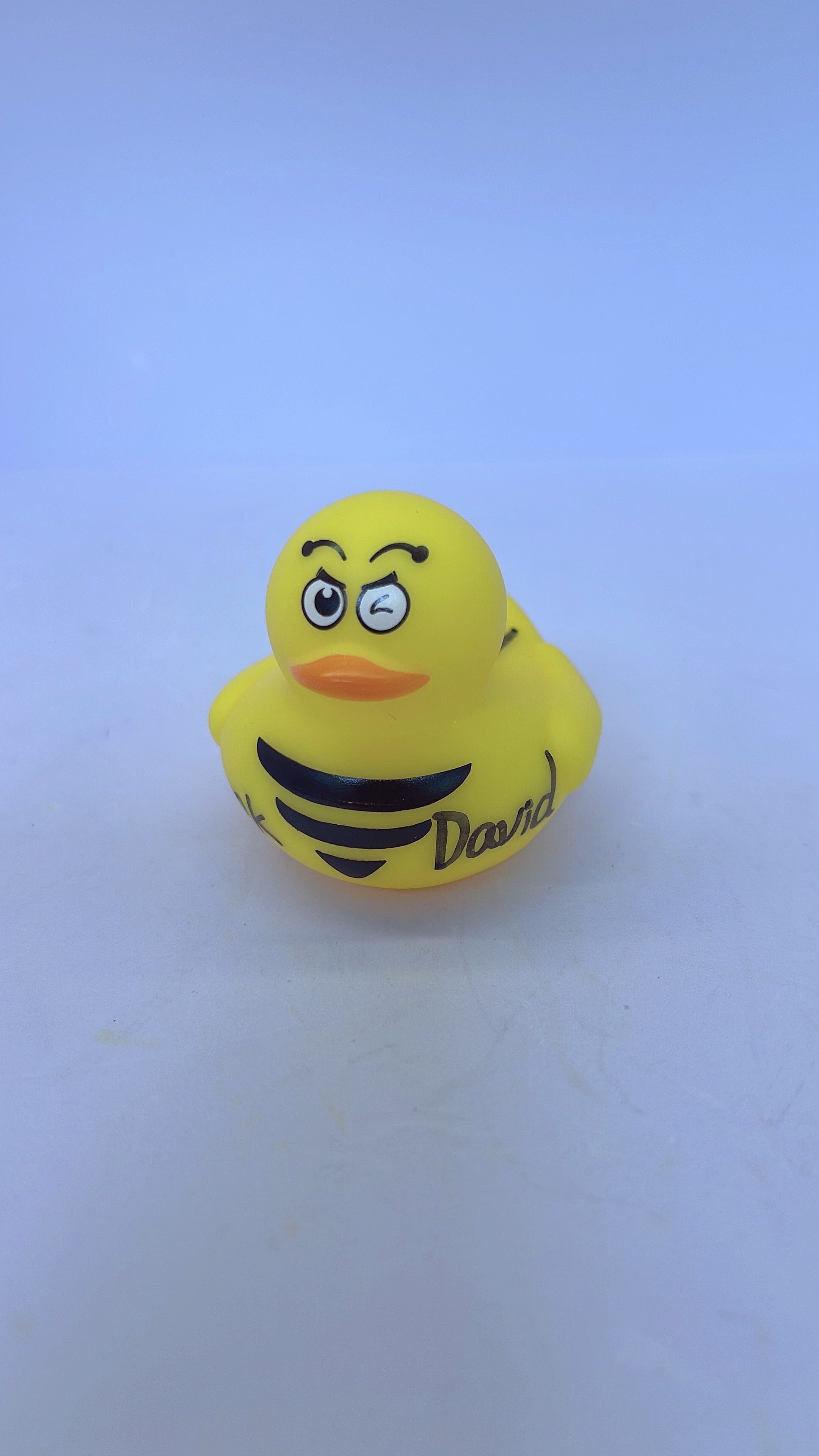 100 K Duck