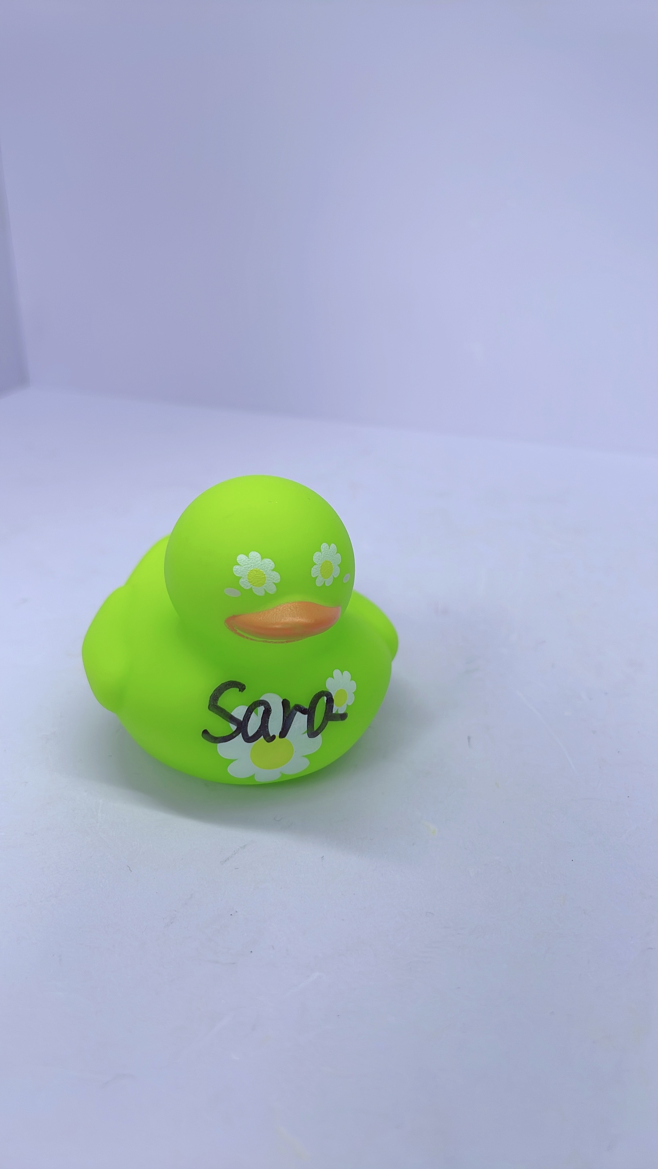 100K  Duck