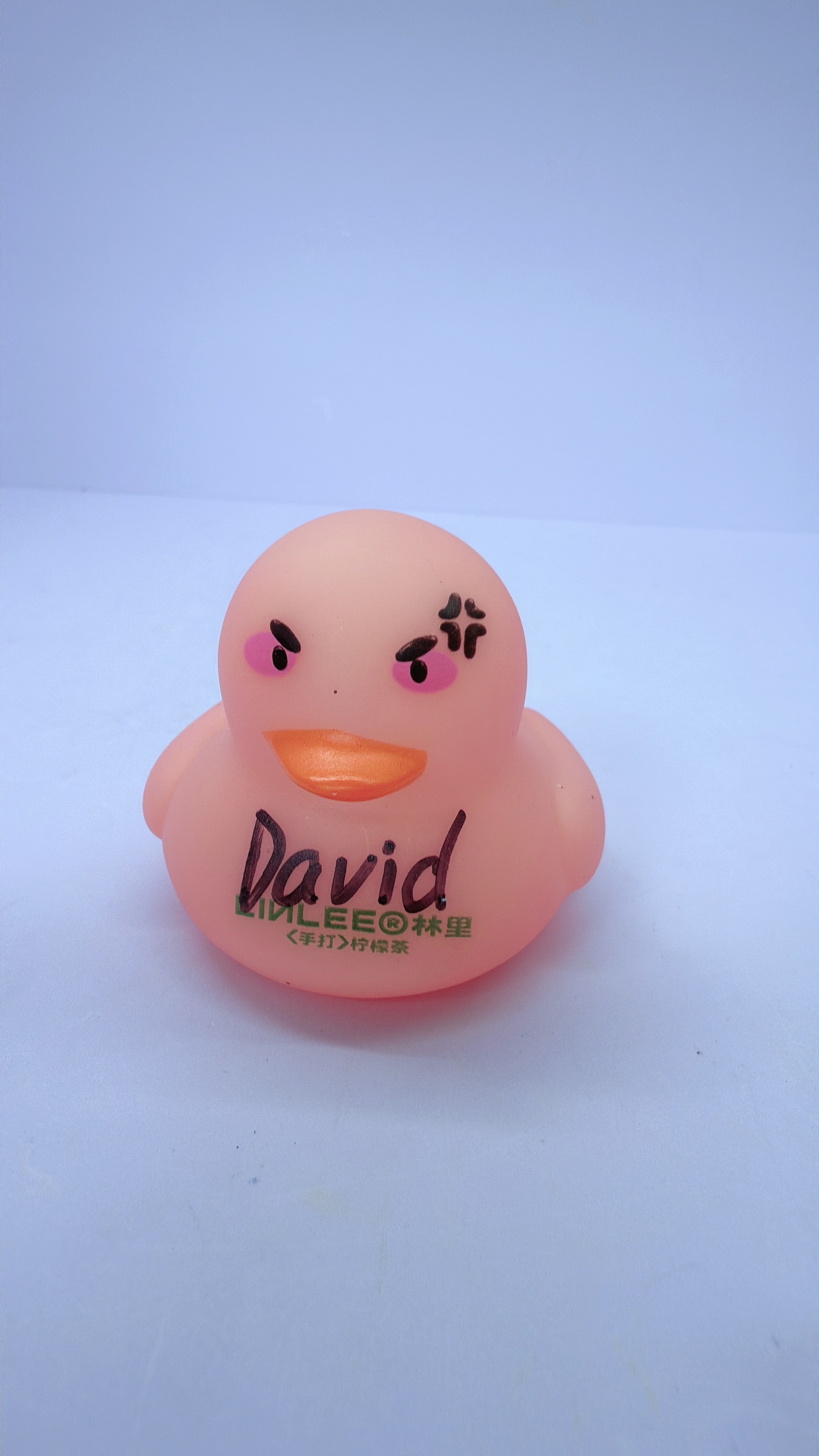 100K Duck