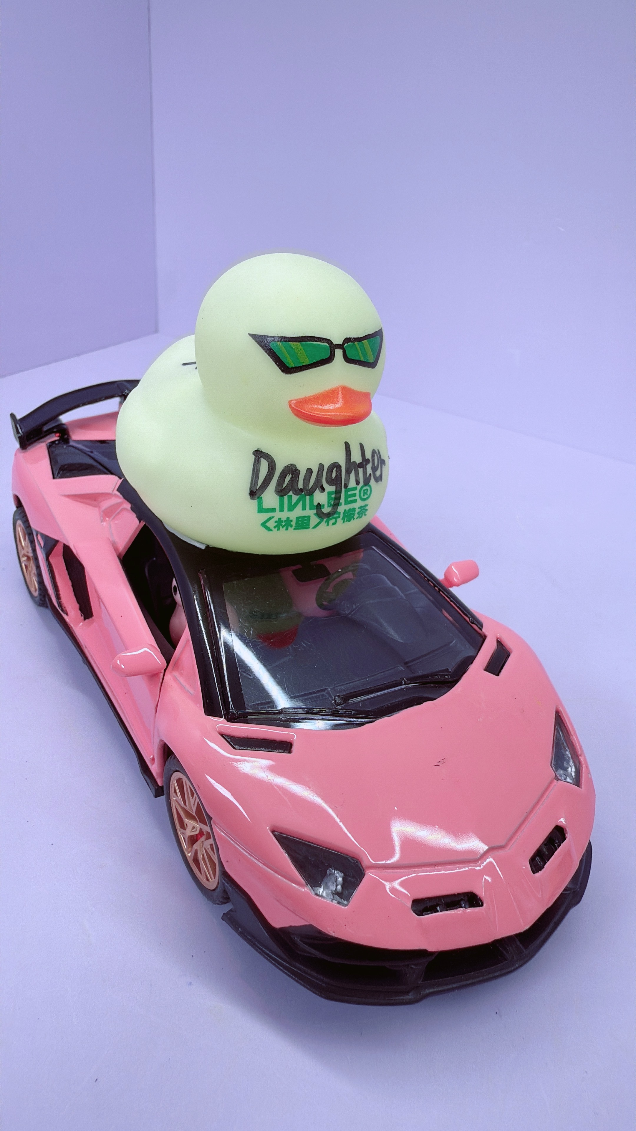 100K Duck