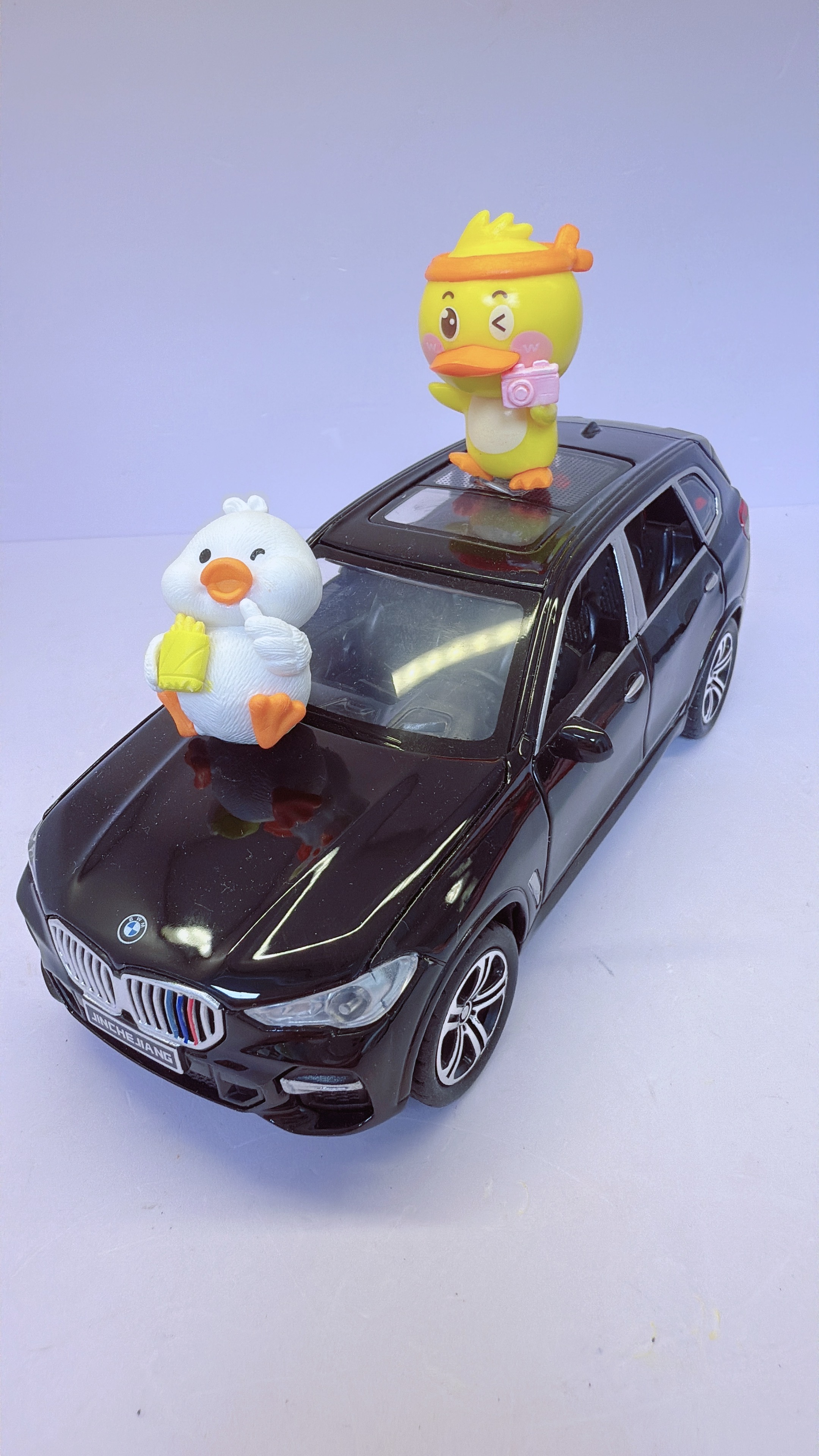Mini Duck