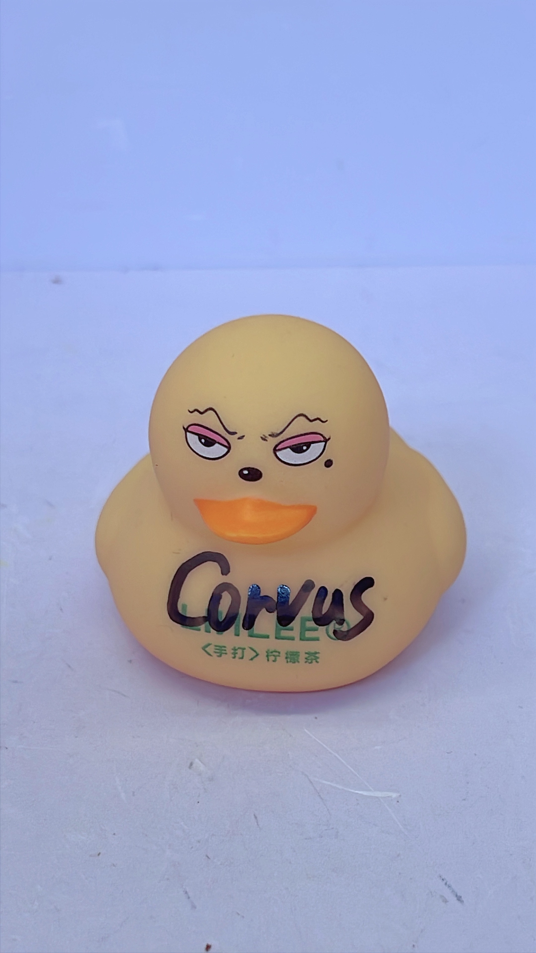 500K Duck