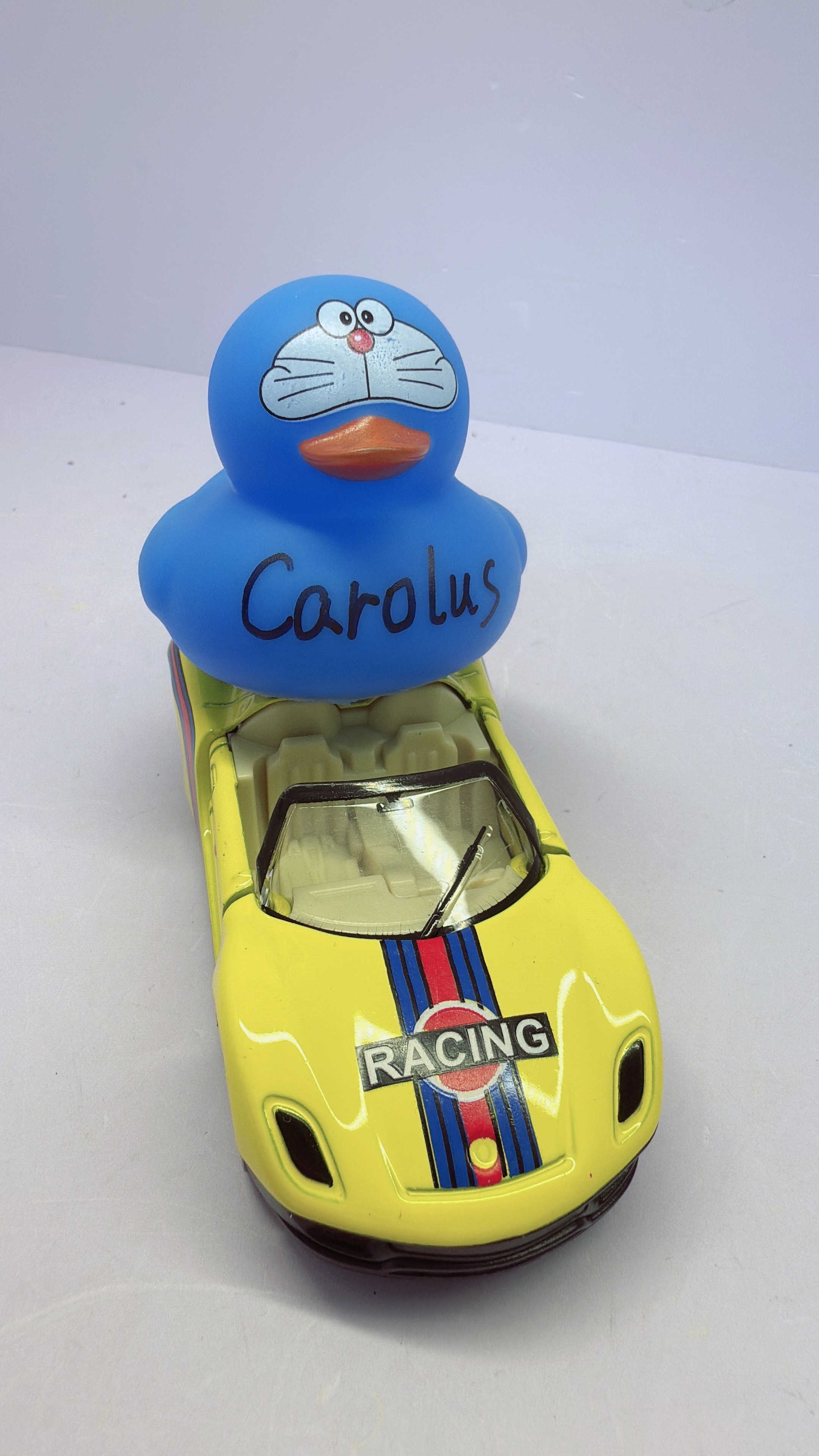 100K Duck
