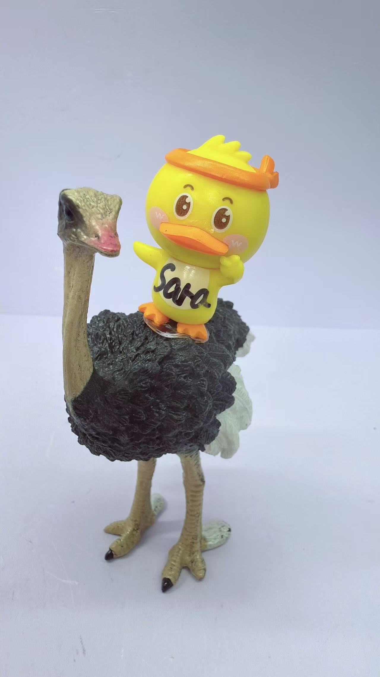 Ostrich duck