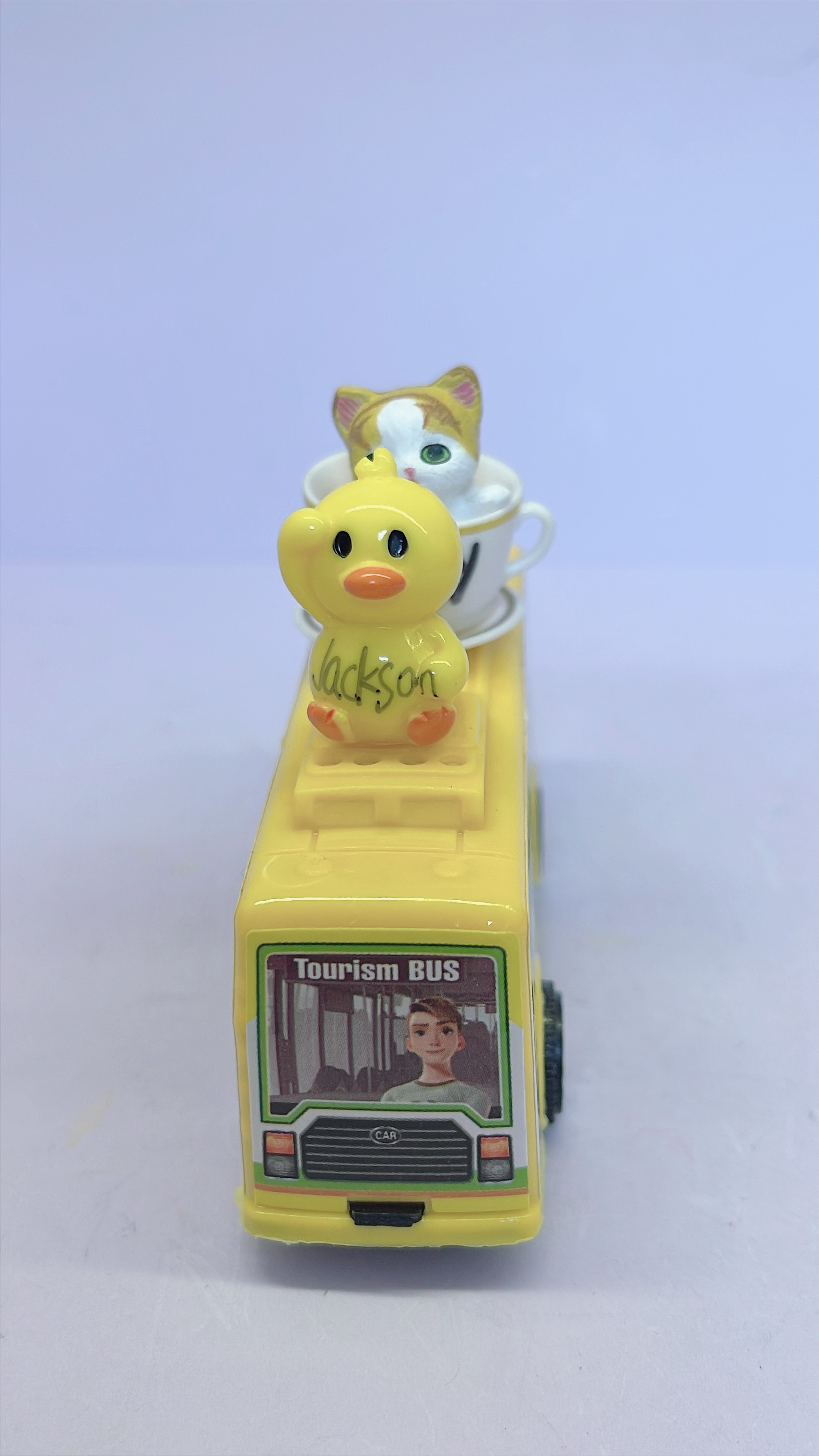 Mini Duck