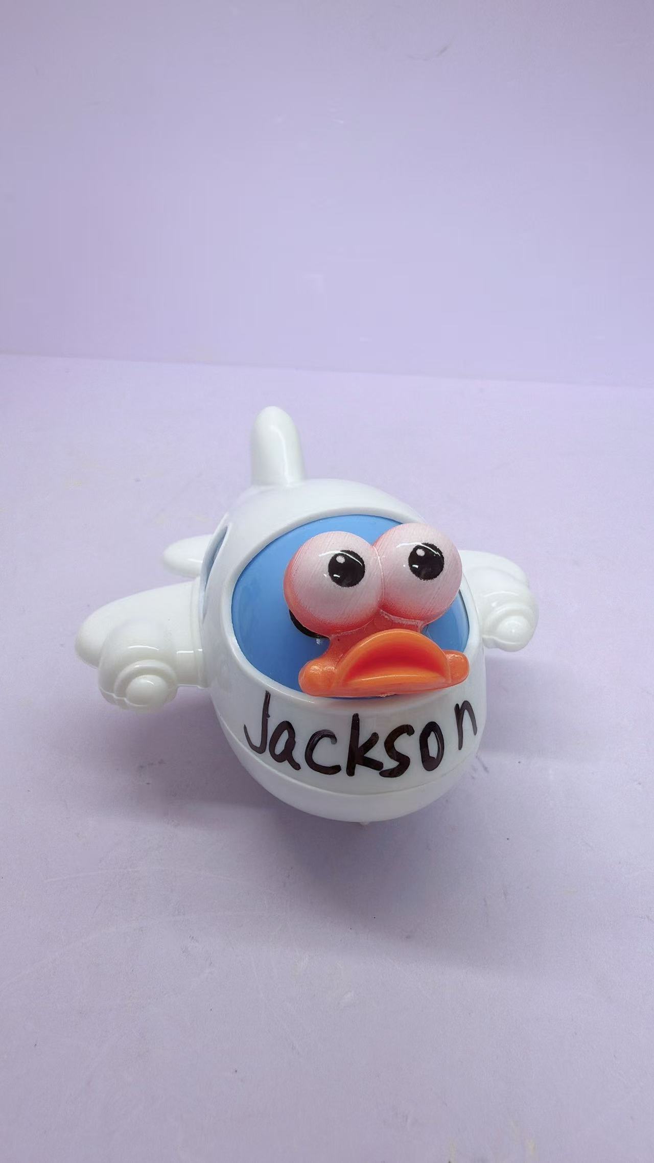 plane duck