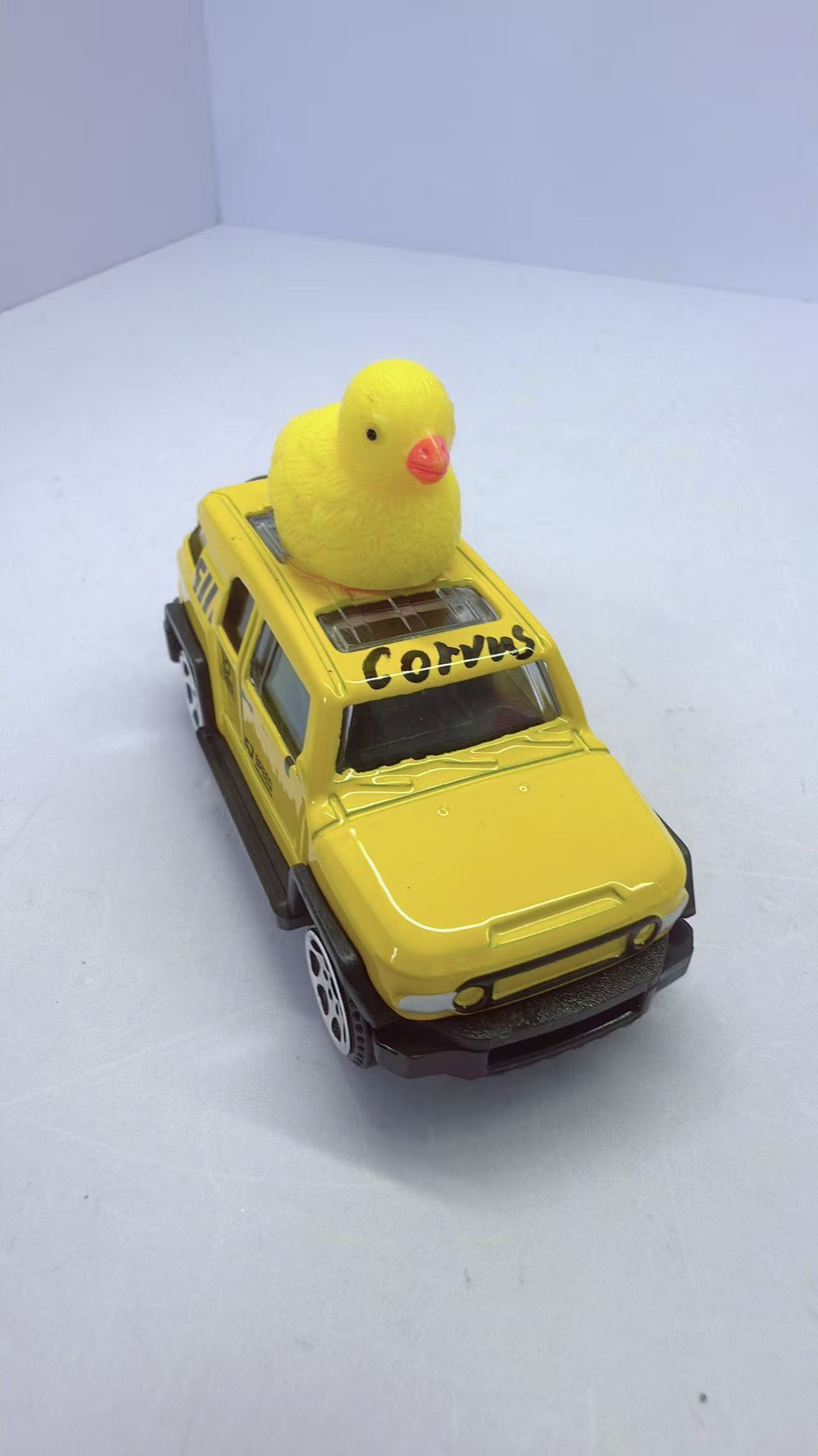 Mini Duck