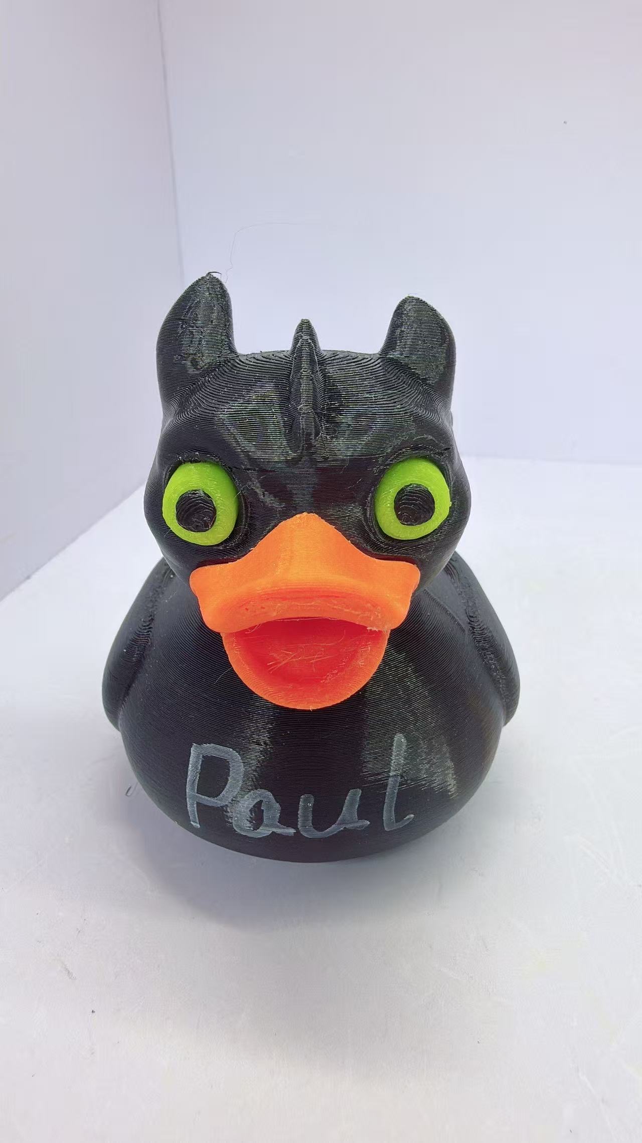 Duck