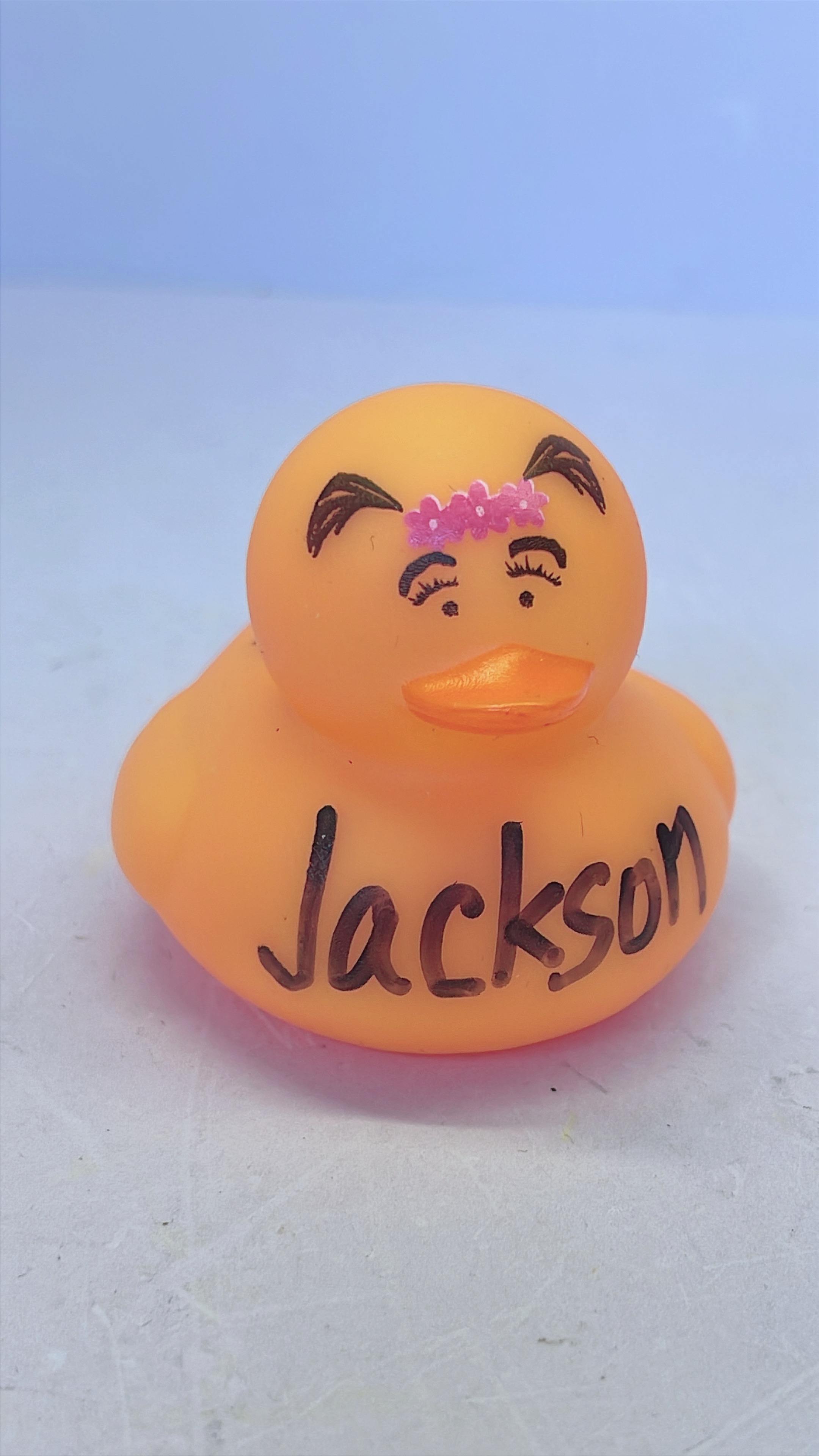 3 00K Duck